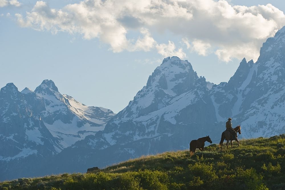 Into the Tetons
