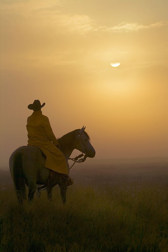 A New Day