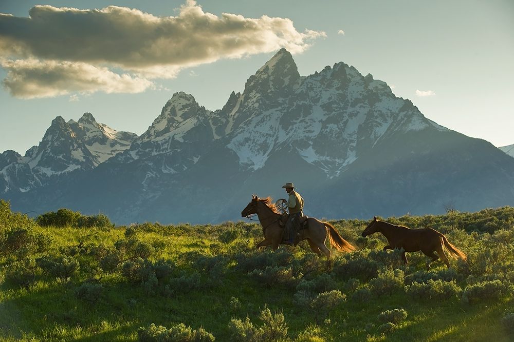 Along the Teton Trail