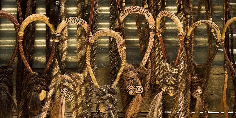 Fancy Bridles