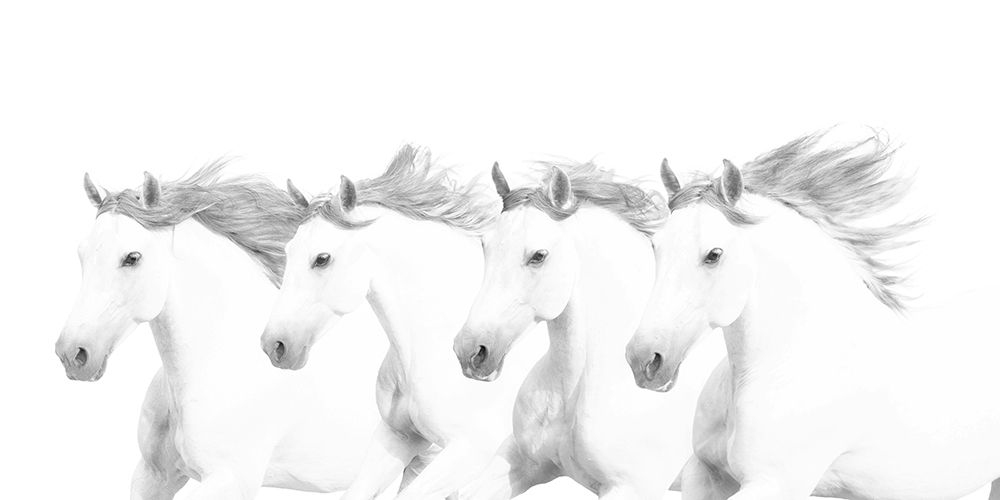 El Blancos