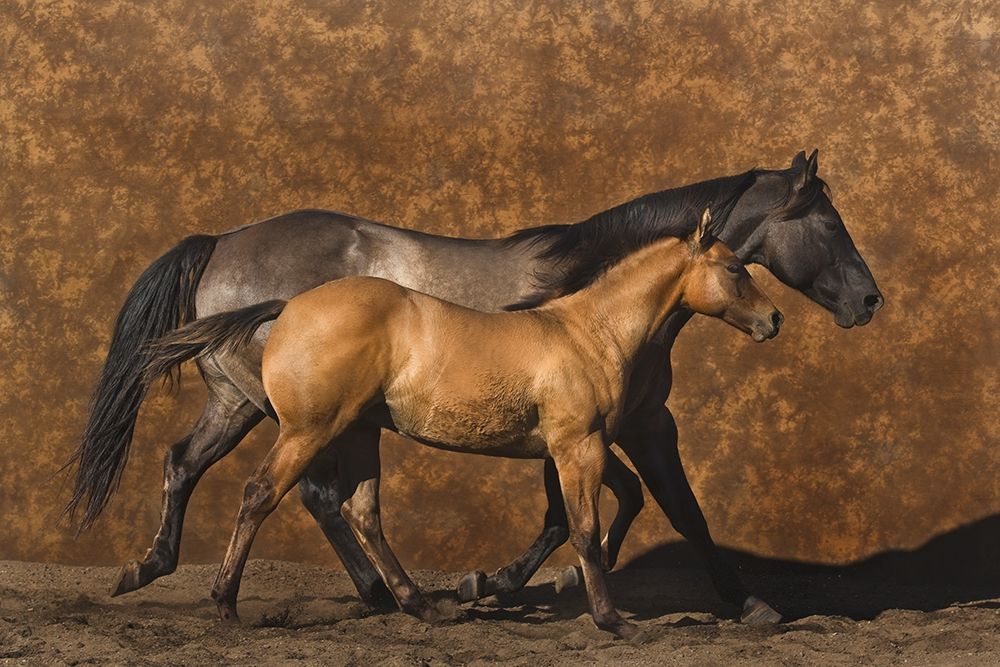 Mother and Son