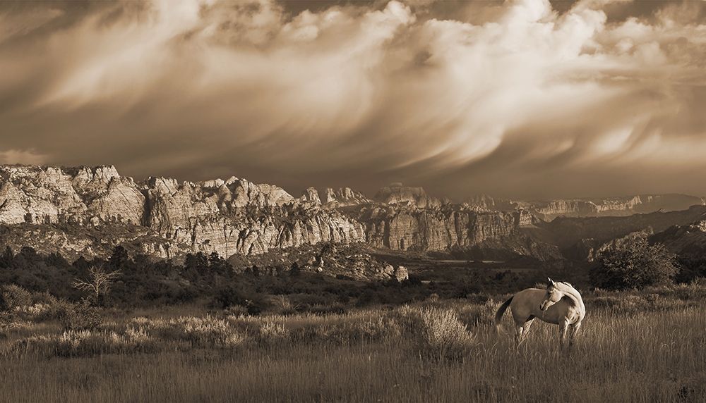 On the Utah Plains