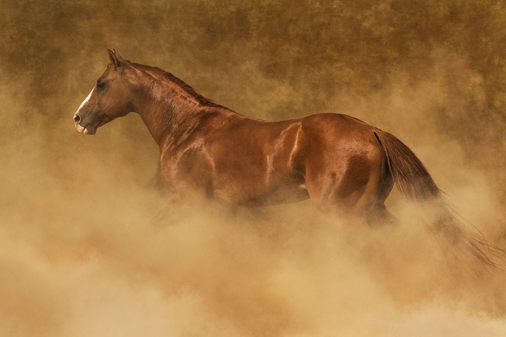 Out of the Dust