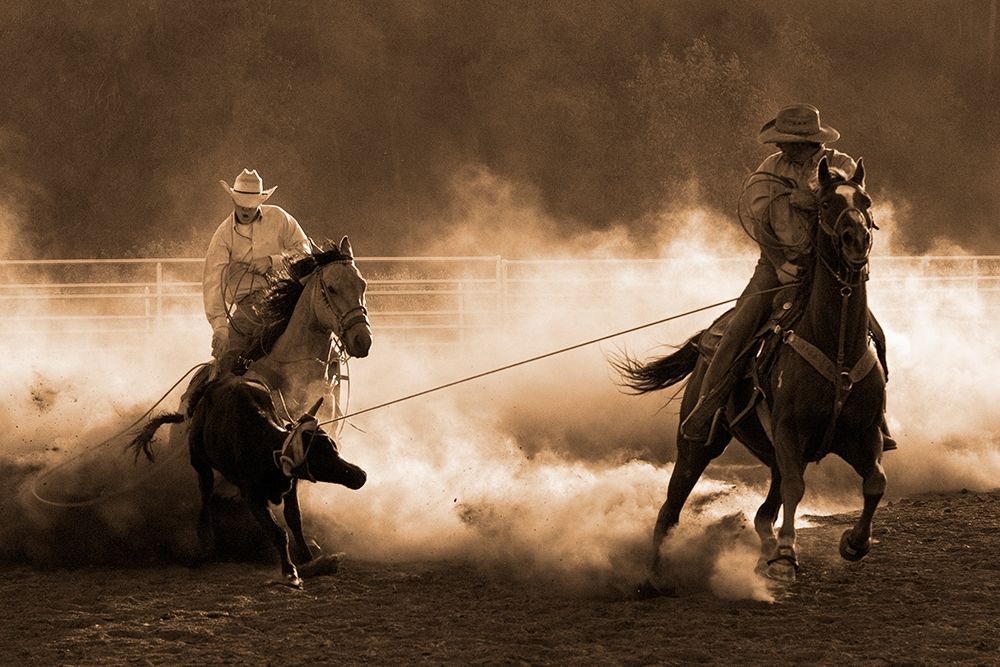 Roping on the Ranch ~ Sepia