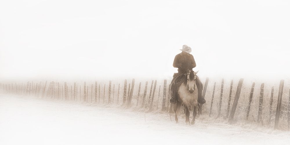 Riding Fence