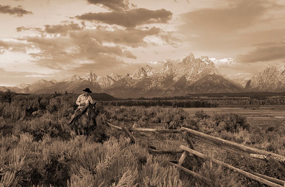 Ridin Fences I   sepia