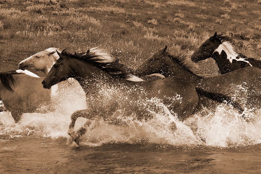 River Race