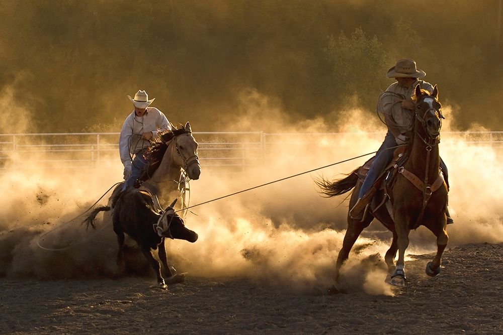 Ropin on the Ranch