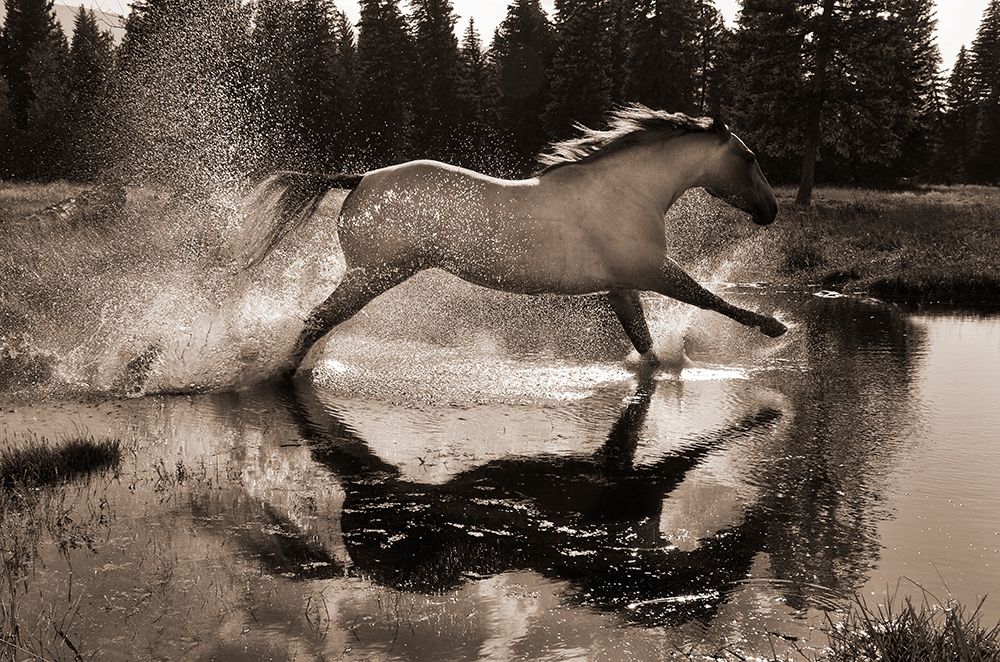 Running Water III