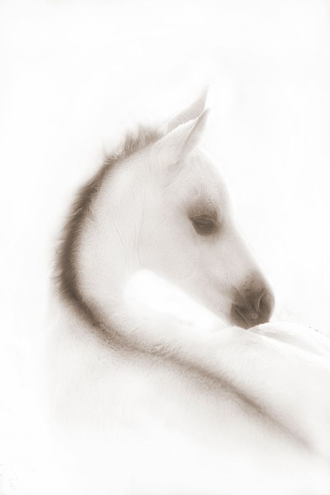 Snow White