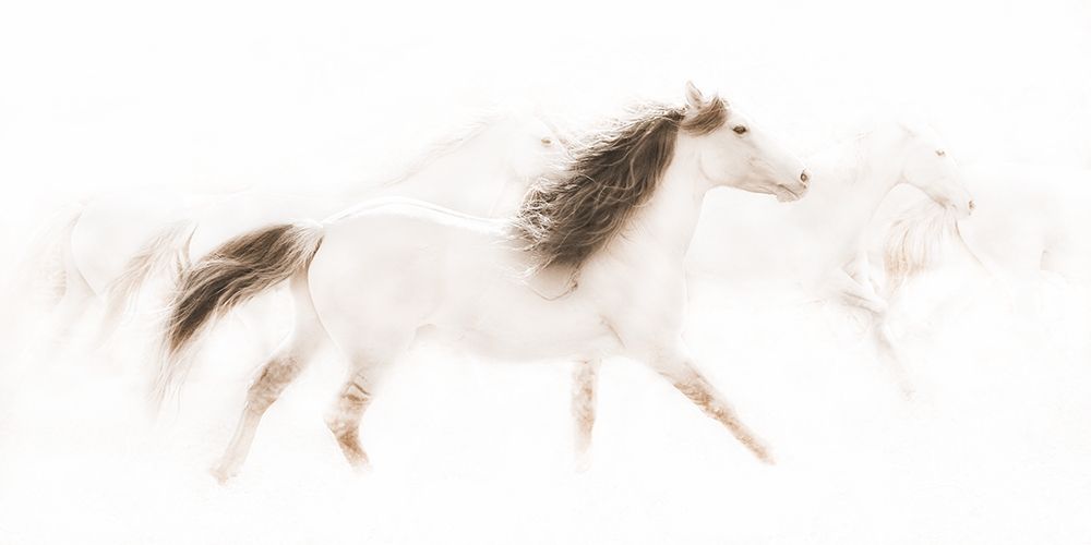 The Mustangs