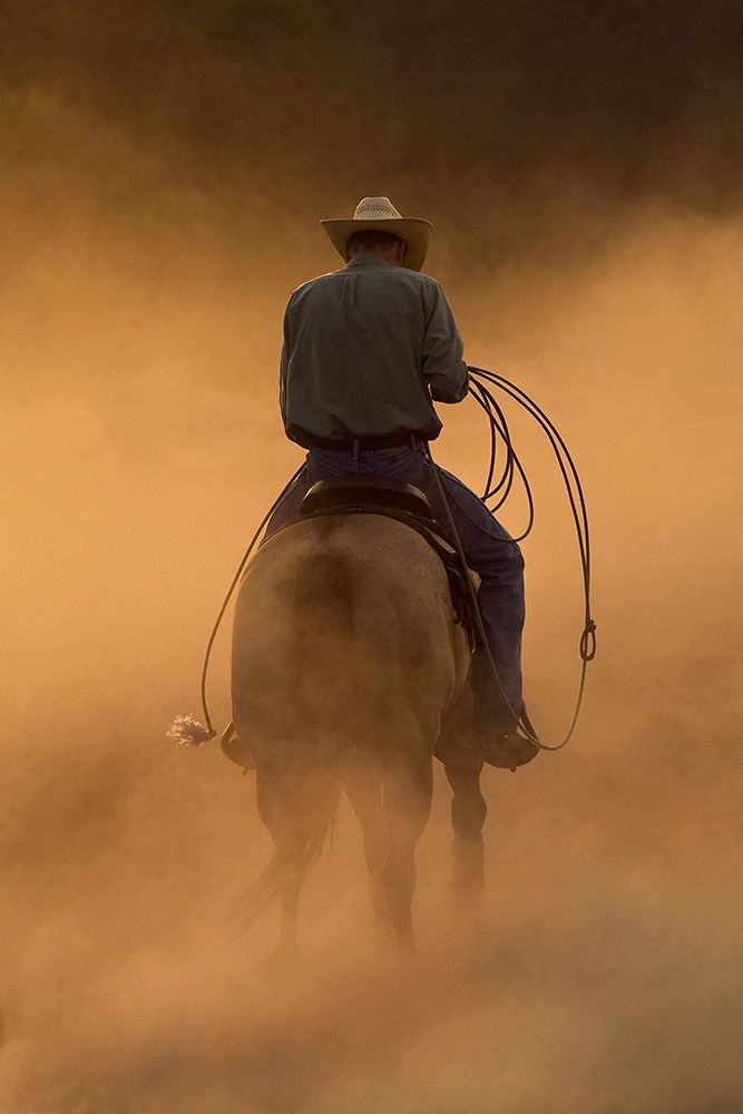 Teo On the Ranch