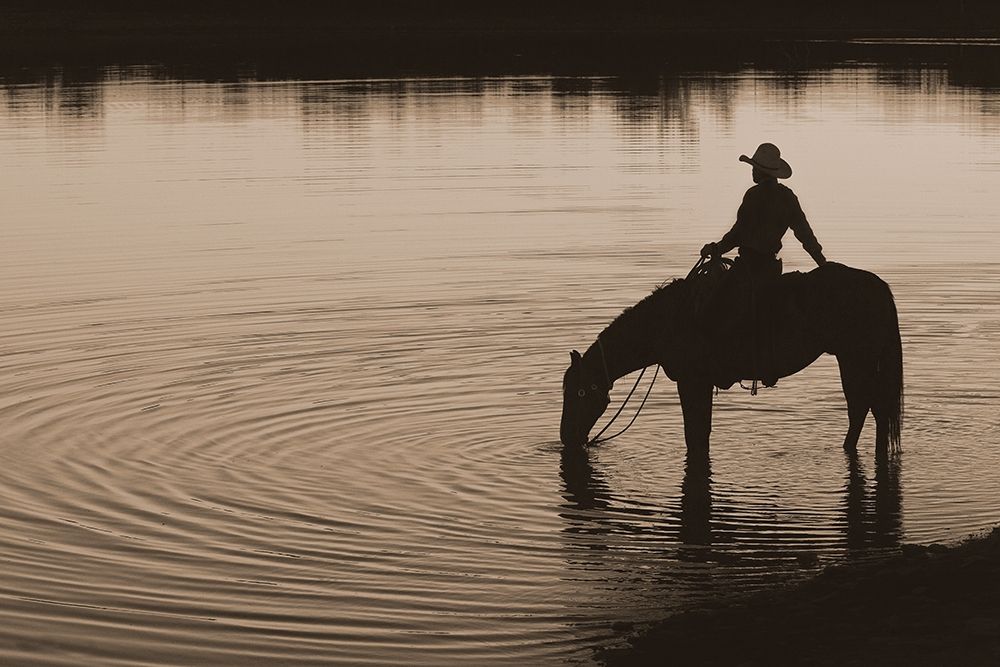 Texas Sunset ~ Sepia