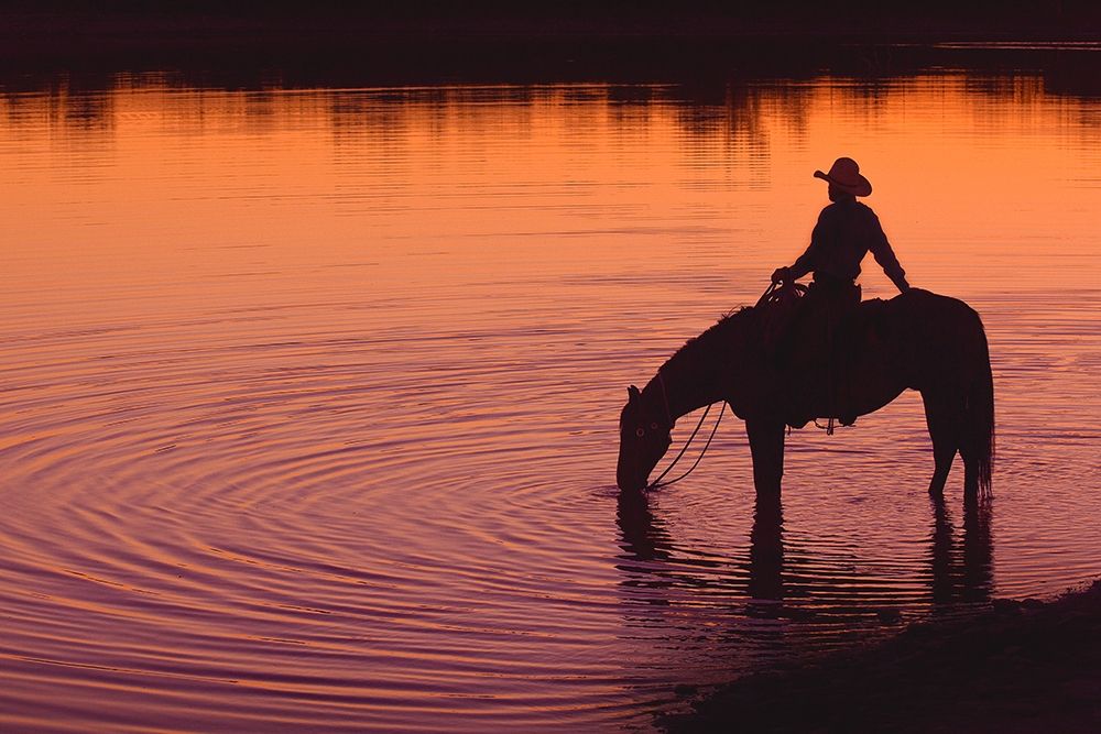 Texas Sunset