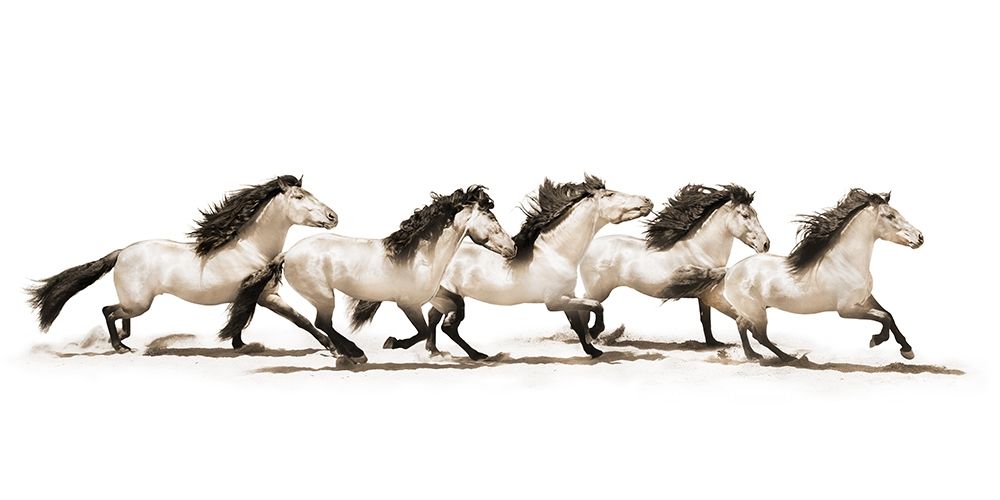 The Buckskins