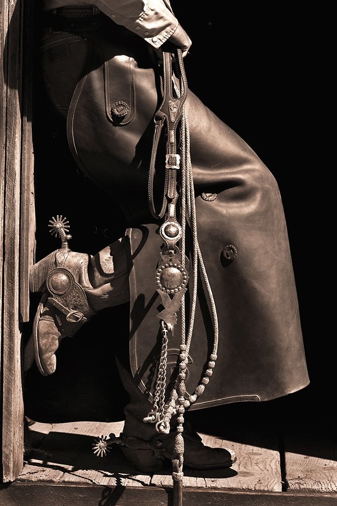 Texas Cowboy