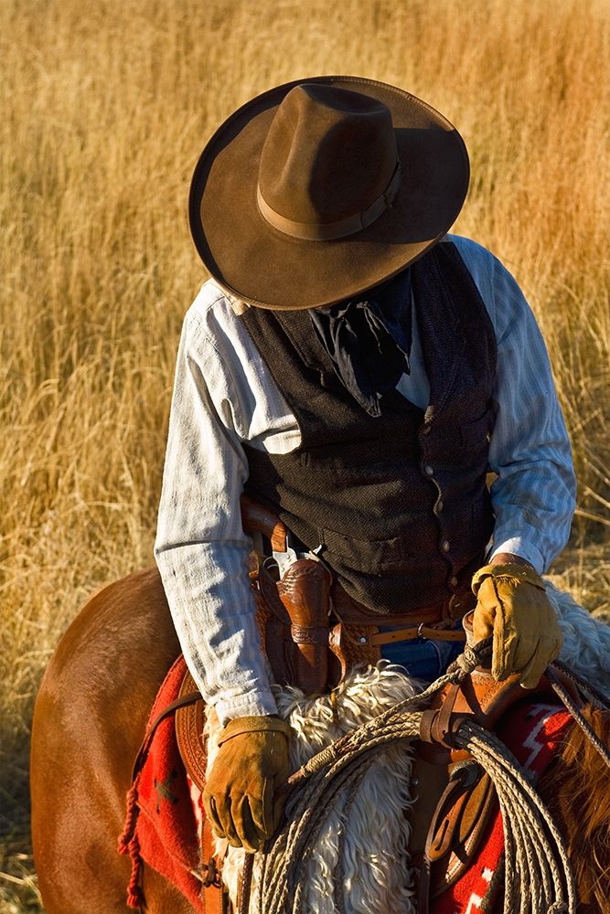 The Plains Drifter