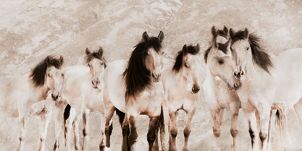 The Tribe ~ Sepia