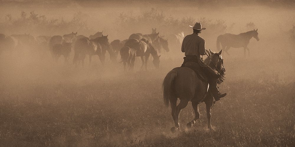 Changing Pastures