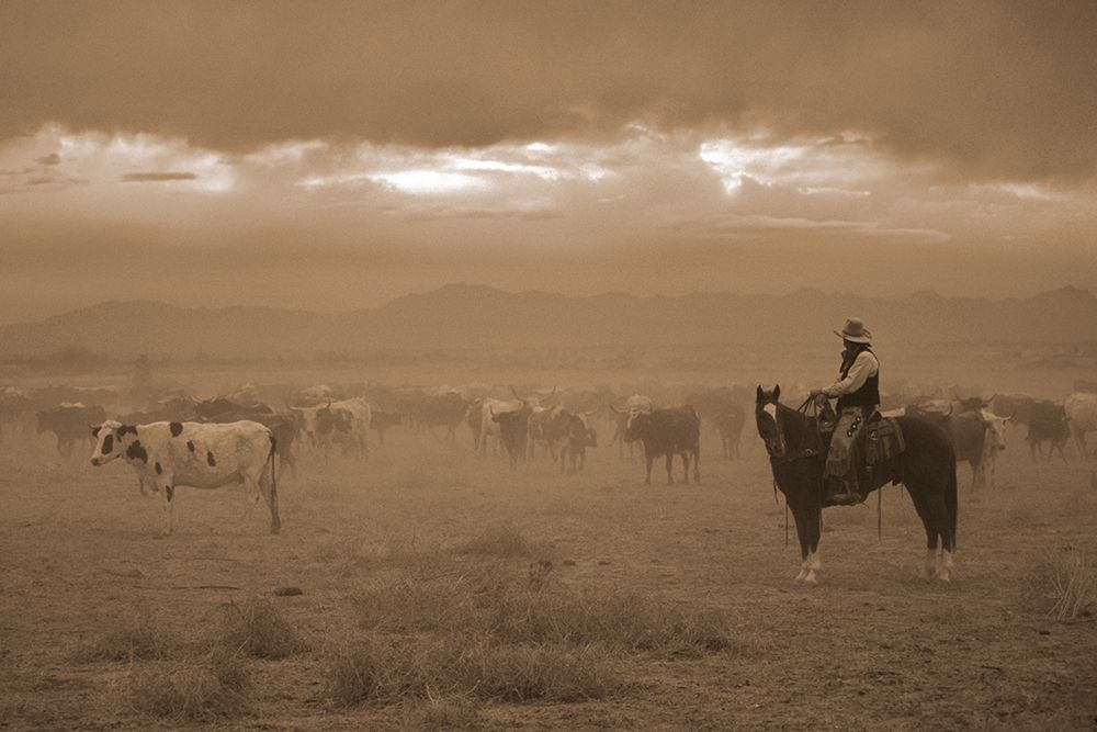Settling the Herd