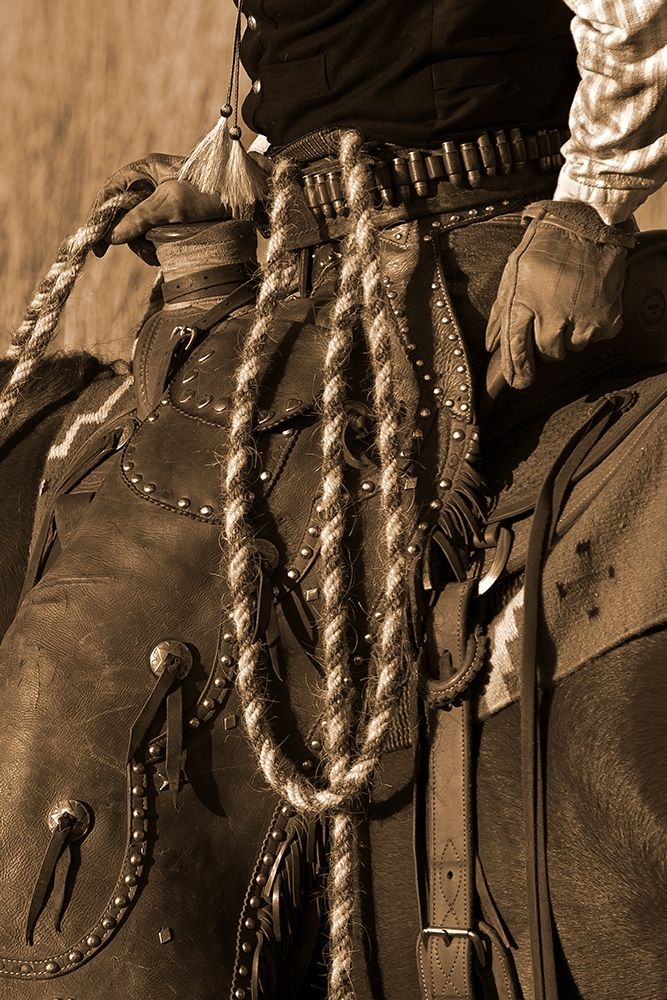 Hired Hand III