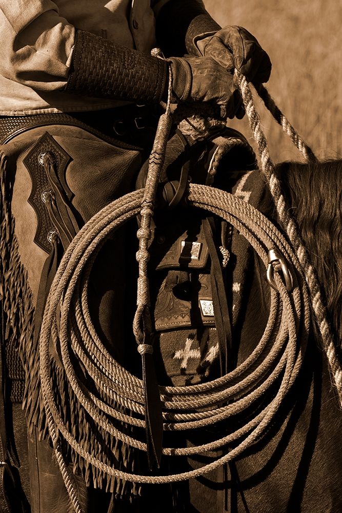 Hired Hand II