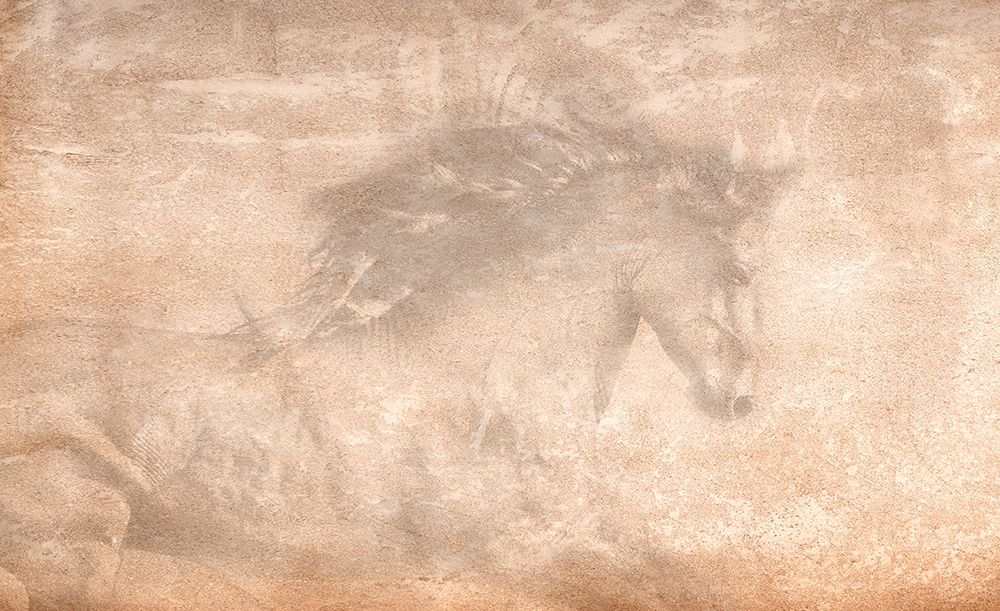 The Stallion