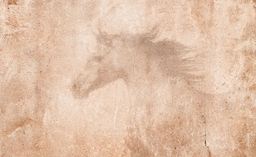 The Arab Horse