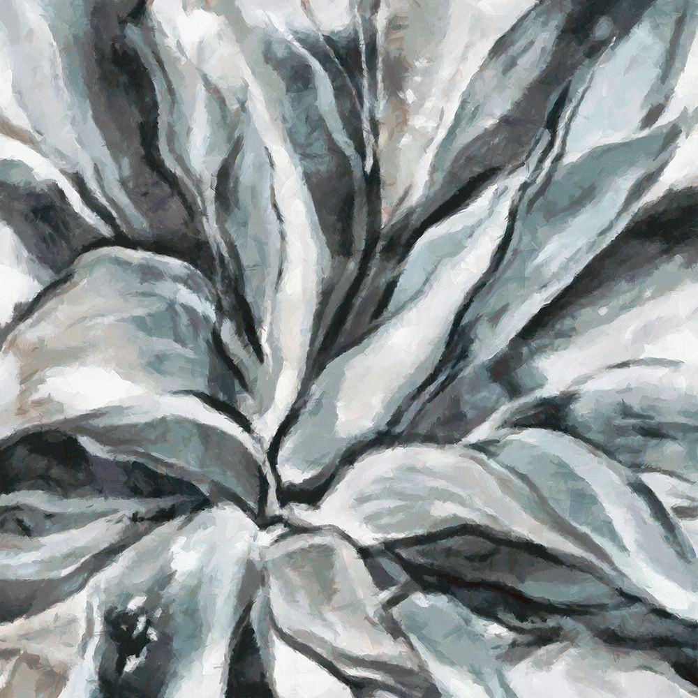 Cereus Aloe