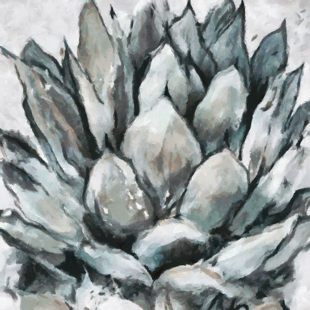 Cereus Echeveria