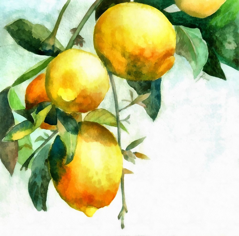 Lemons