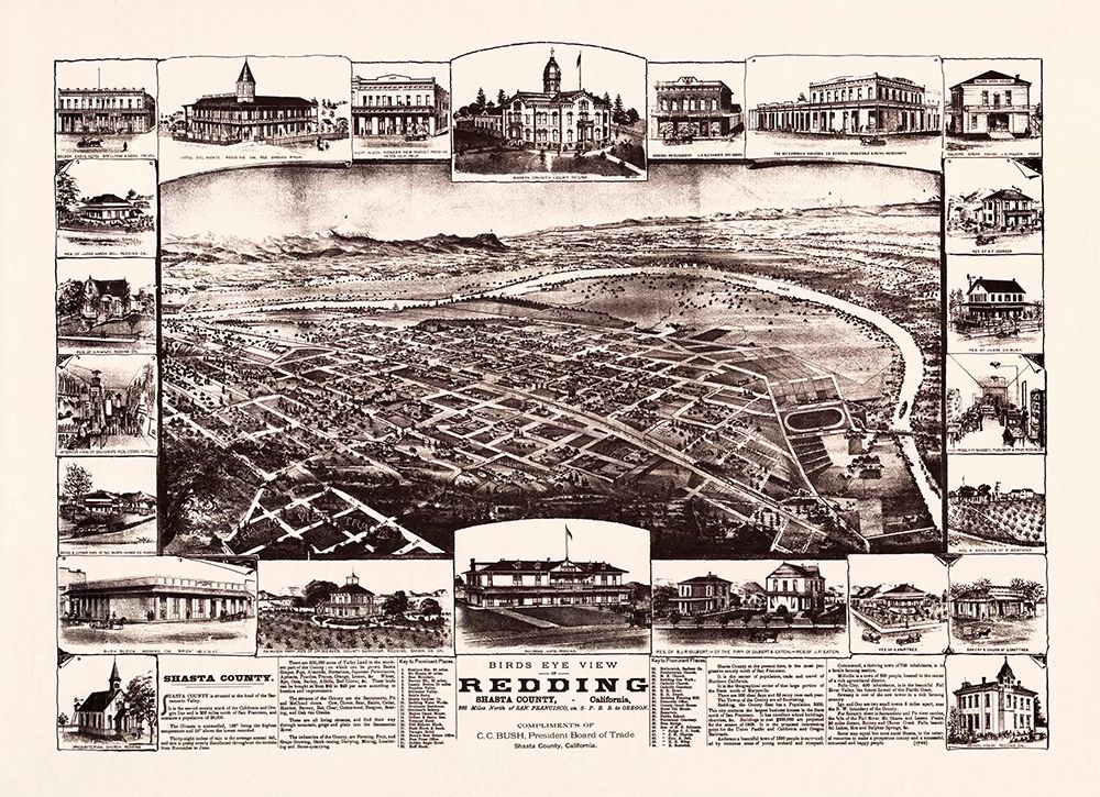 Redding California - Bush 1890