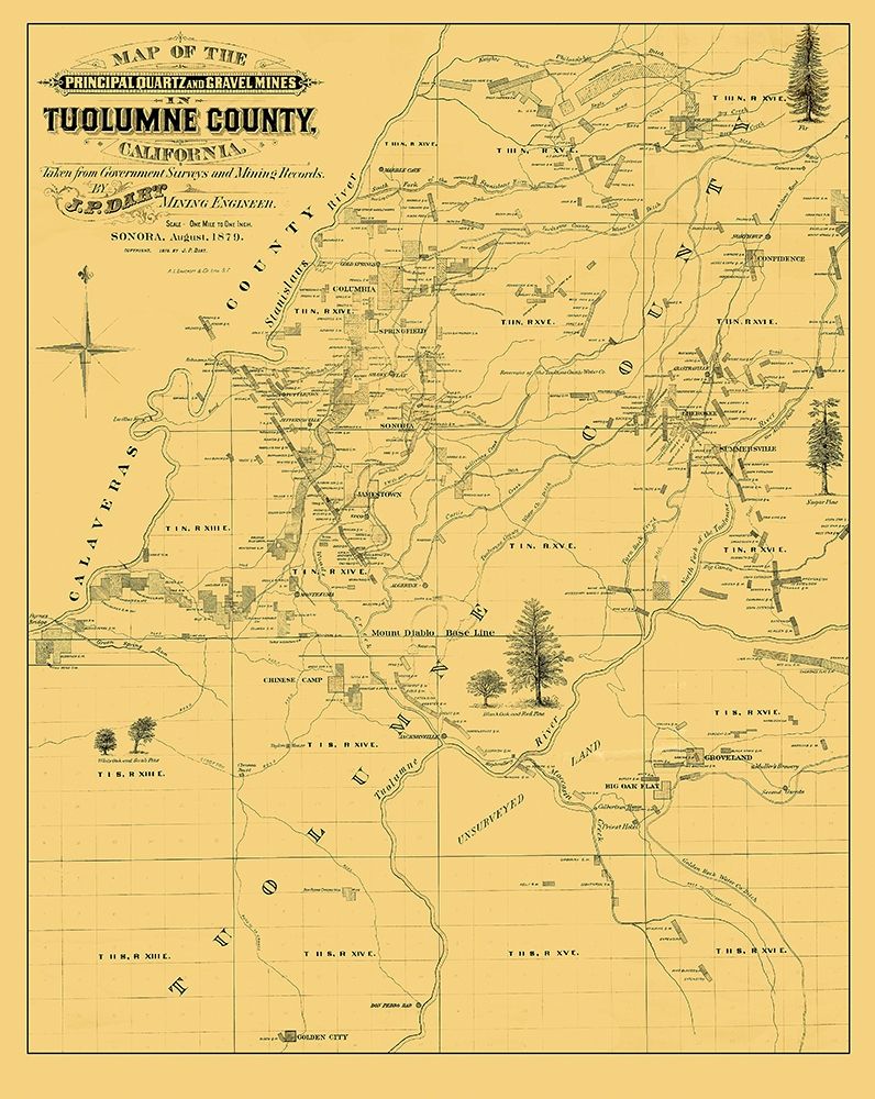 Tuolumne California Landowner - Dart 1878