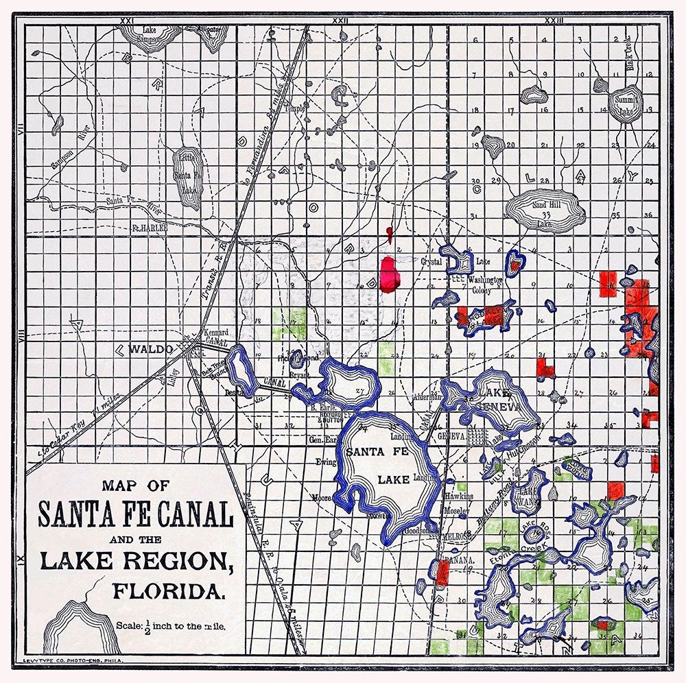 Florida - Levy Type 1876
