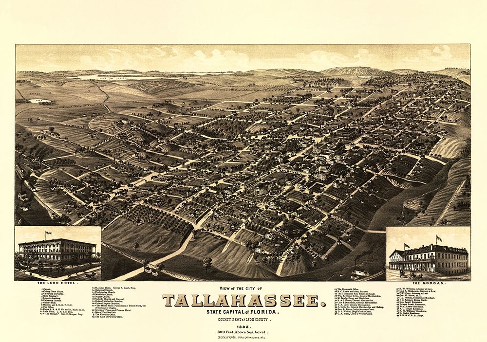 Tallahassee Florida - Beck 1885