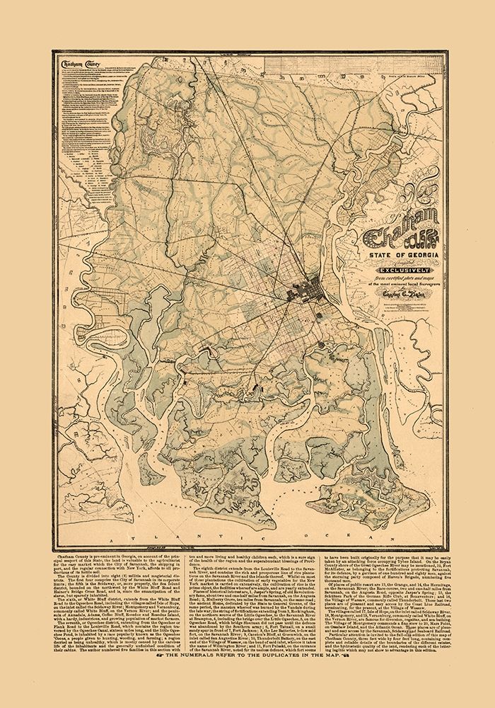 Chatham County Georgia - Platen 1875