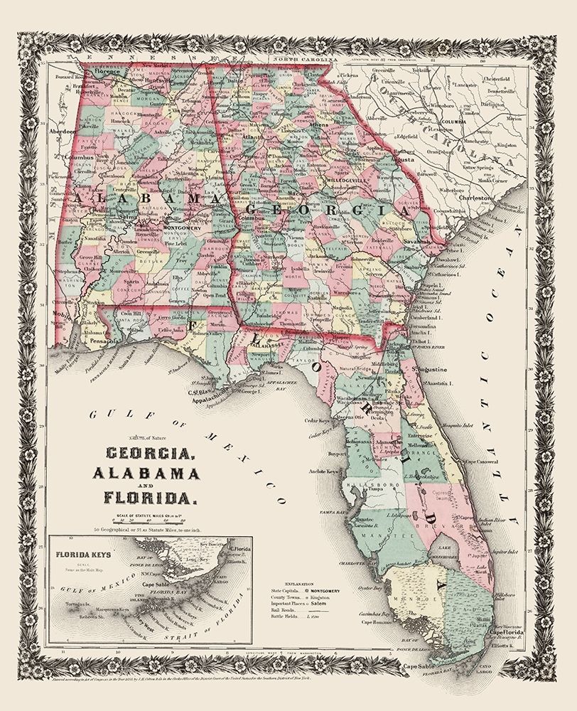 Georgia, Alabama, Florida - Colton 1858
