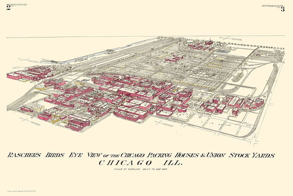 Chicago Packing Houses Union Stock Yards Illinois