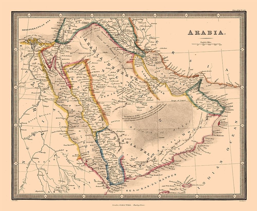 Arabia - Wylde