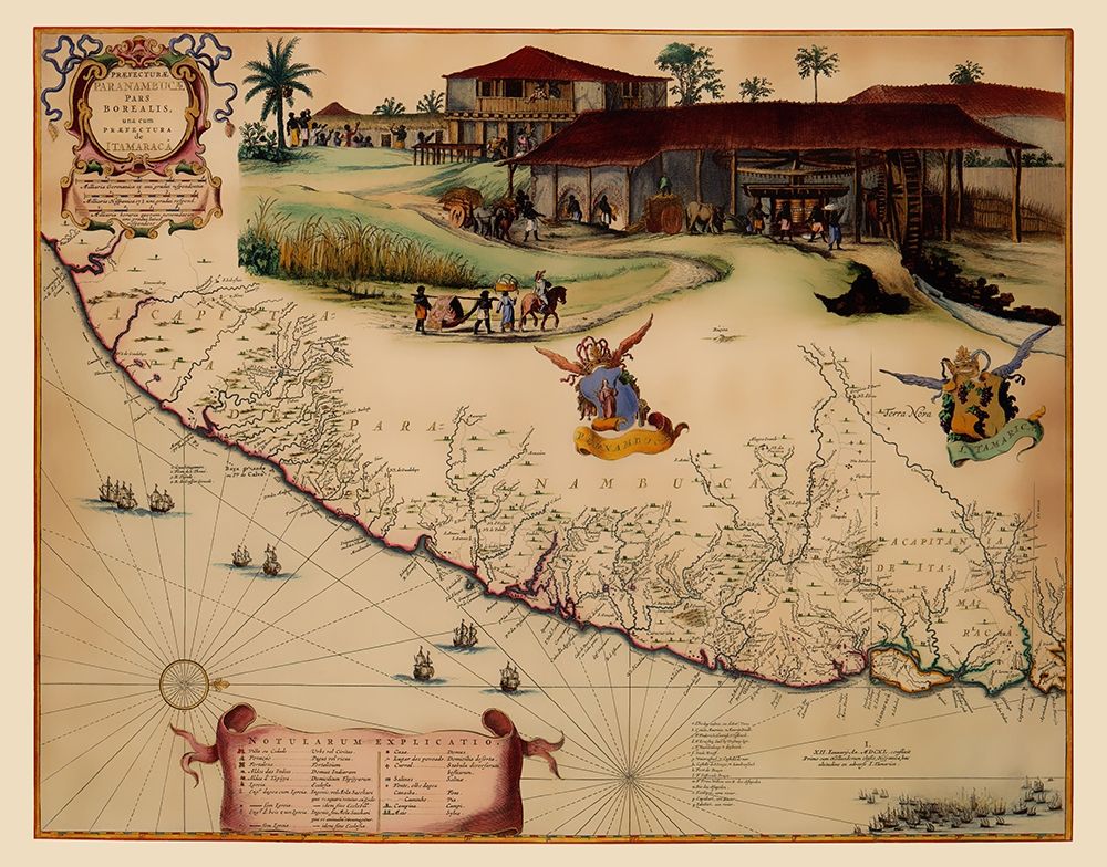 South America Brazil Coast - Blaeu 1662