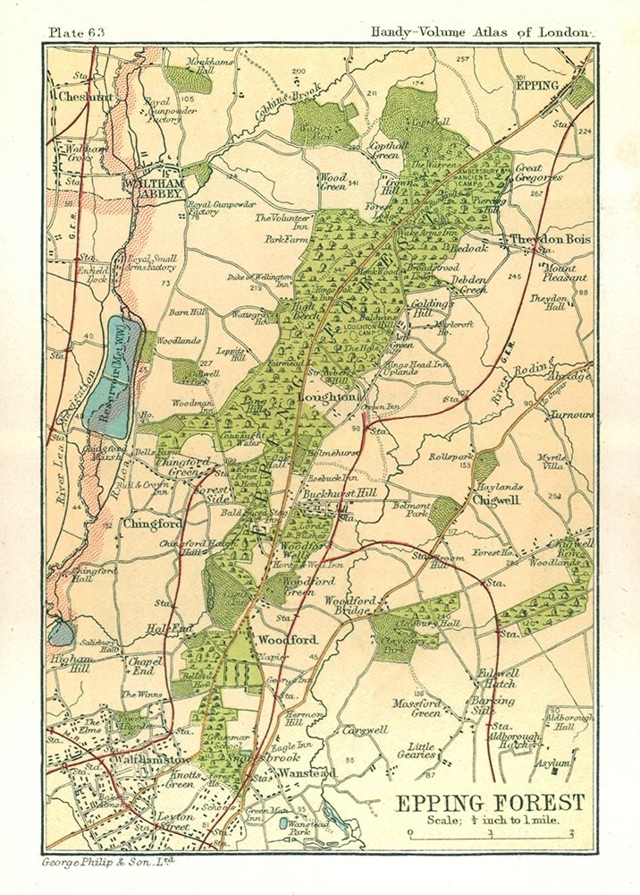 Epping Forest London England - Philip 1904