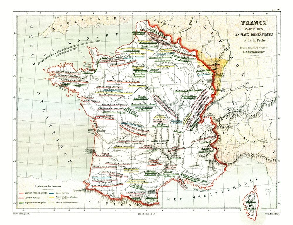 Domestic Animals France - Cortambert 1880