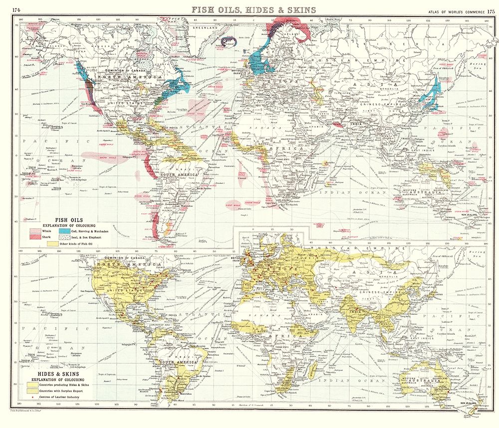 Global Fish Oils Hides Skins - Bartholomew 1907