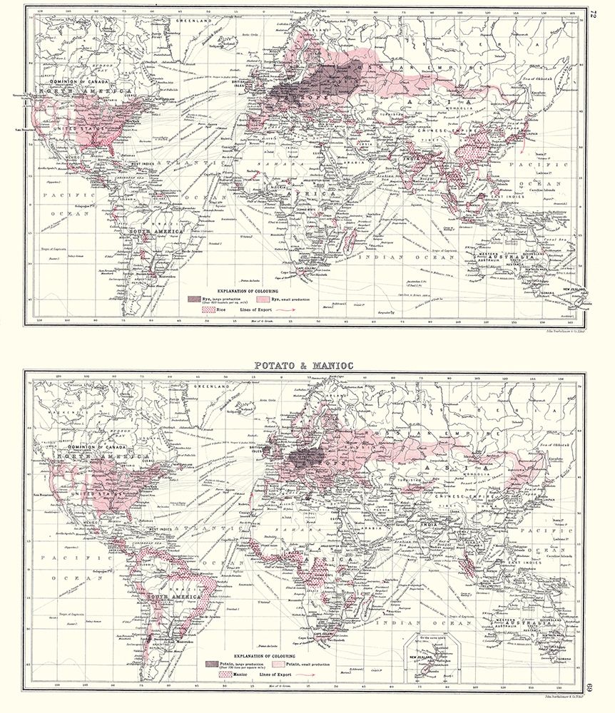 Global Potato Manioc - Bartholomew 1907
