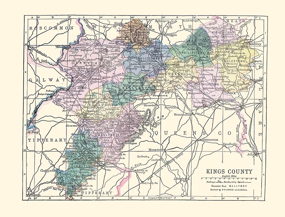 Kings County Ireland - Bartholomew 1882