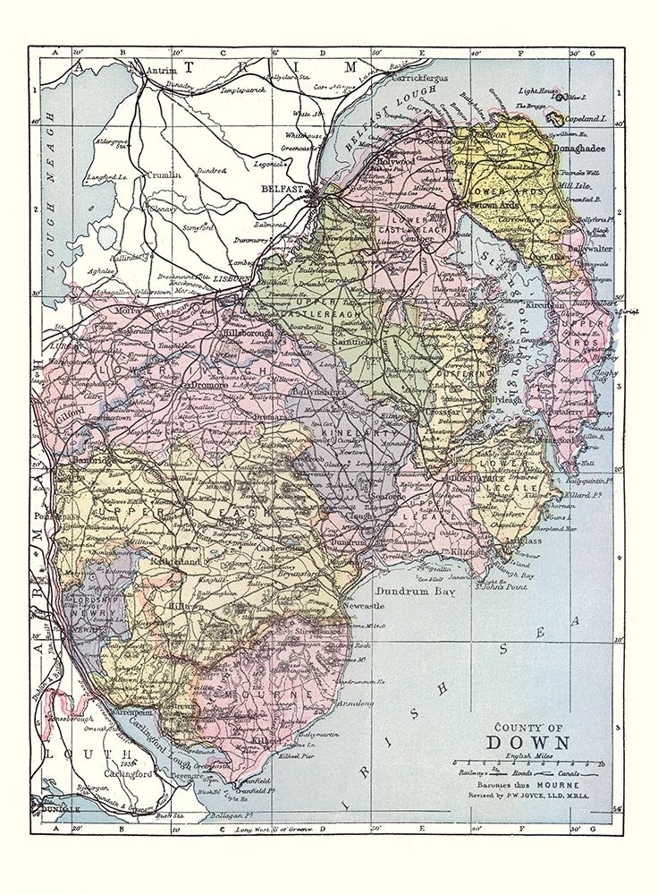 Down County Ireland - Bartholomew 1882