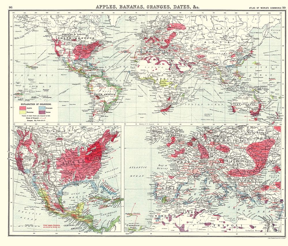 Apples Bananas Oranges Dates World - Newnes 1907