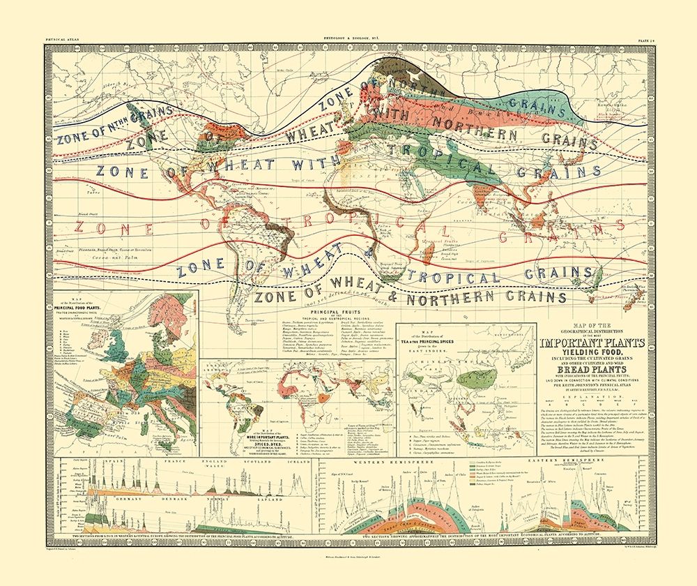 World Cultivation Grains - Johnston
