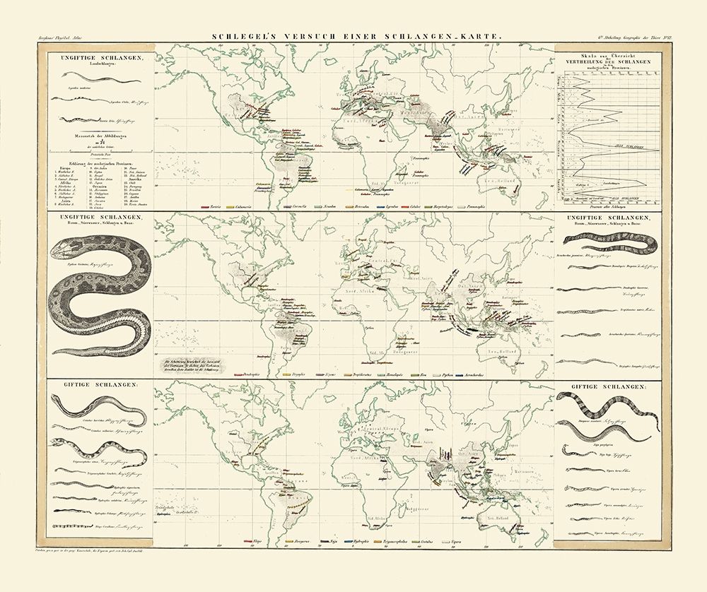World Snakes - Berghaus